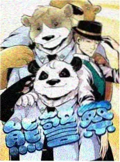 55影视访谈综艺二手书店封面